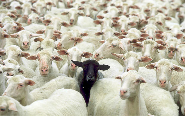 7-ways-to-handle-being-the-black-sheep-of-the-family